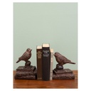 Serre livre oiseaux
