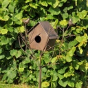 La cabane enchevêtrée