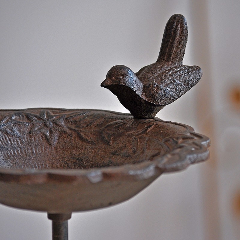 Bain d'oiseaux fonte