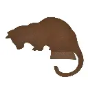 Silhouette de chat à poser sur une fenêtre (1).webp