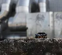 Voiture Mini Ken Cave - Noir:Or - 13.webp