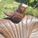 Bain d'oiseaux Coquillage 2.webp