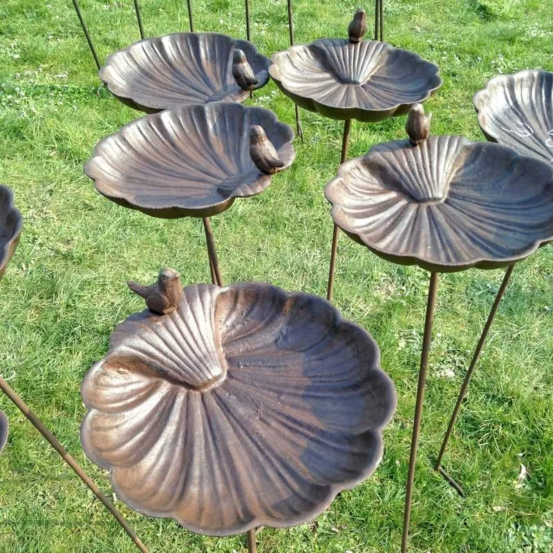 Bain d'oiseaux Coquillage 3.webp