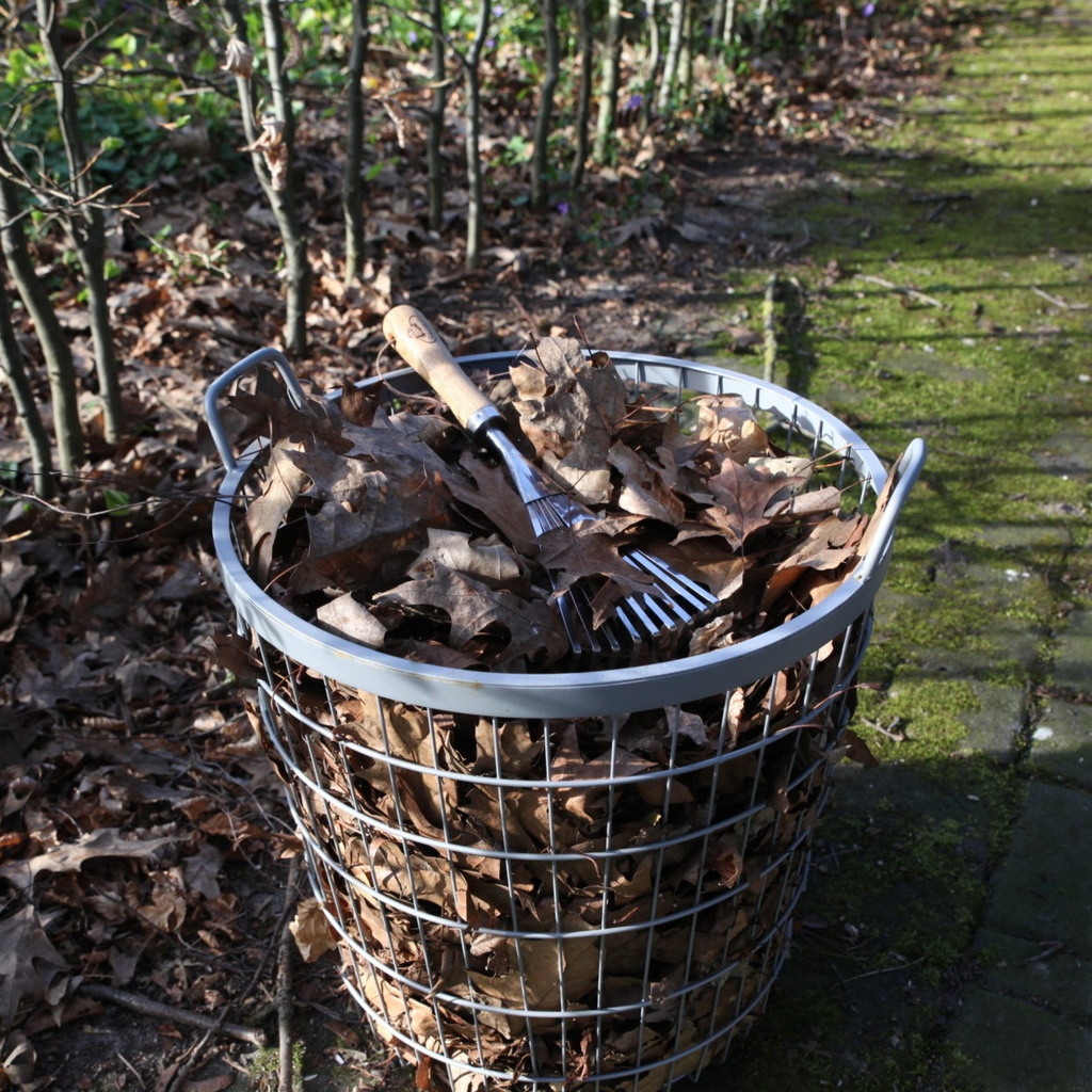 Outil jardin rateau feuille PM