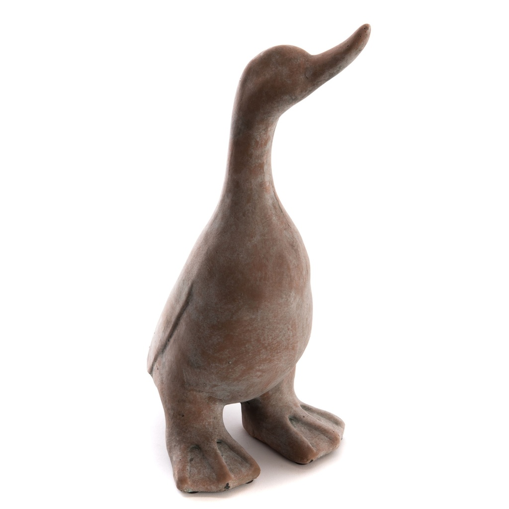 Canard en pierre