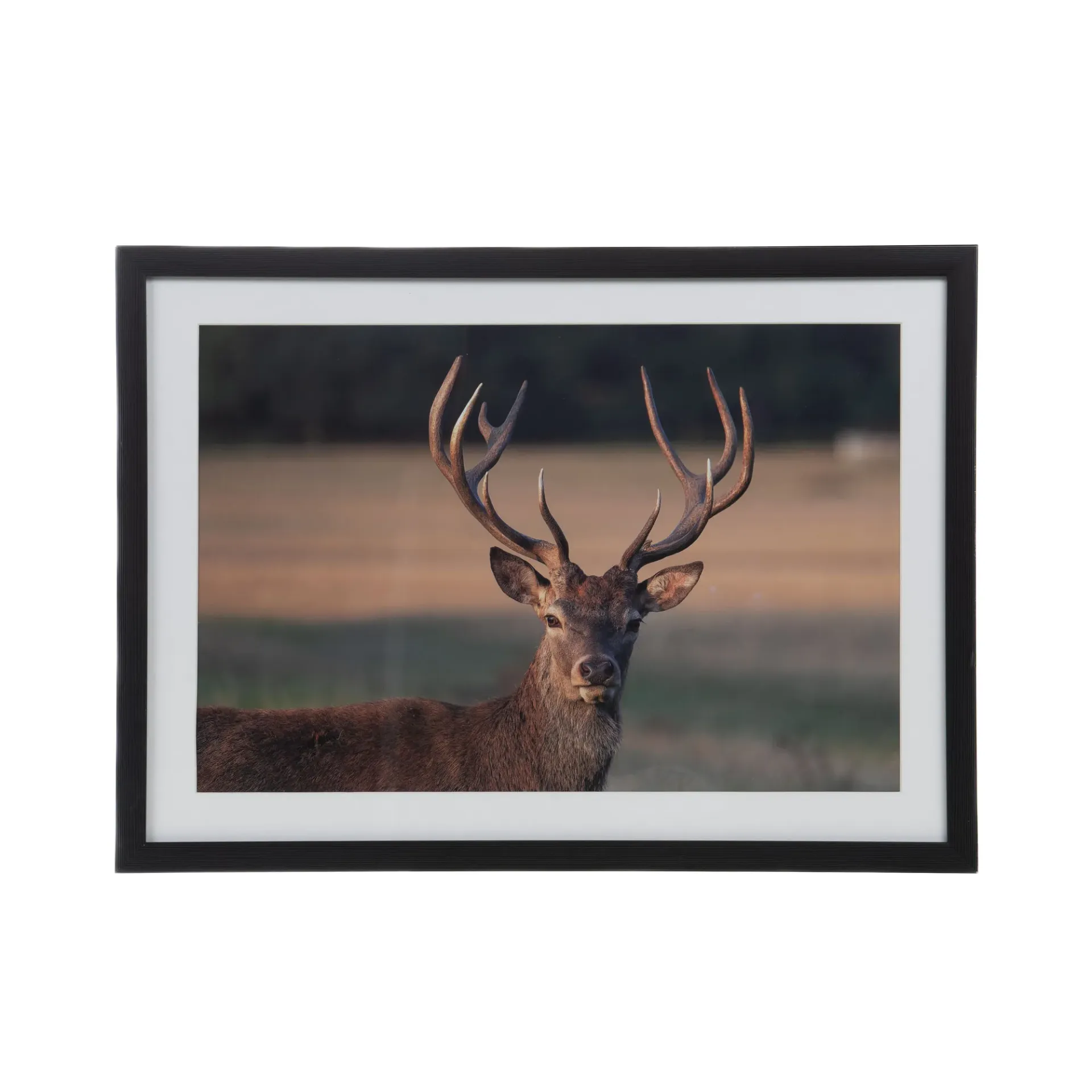 [AM000026] Toile encadrée Cerf – 40x55 cm | Tableau décoratif nature & élégance
