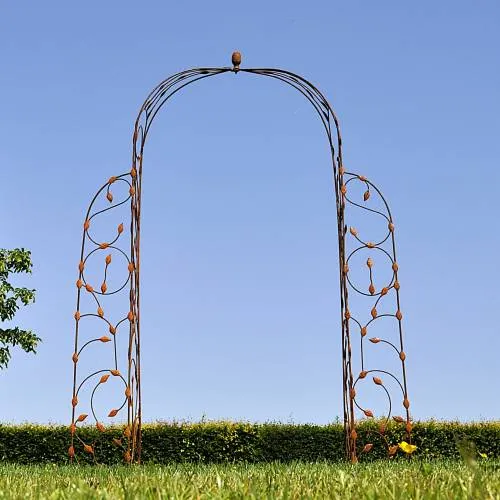 Arche feuilles