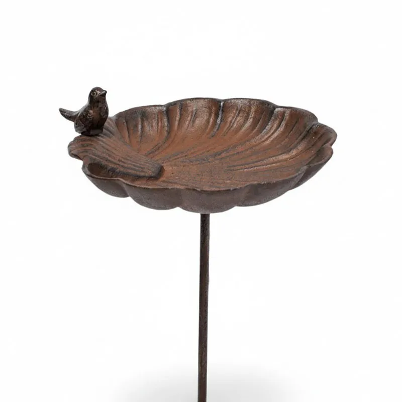 [GP000023] Bain d'oiseaux Coquillage
