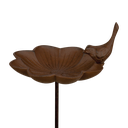 Bain d'oiseau sur Pic L