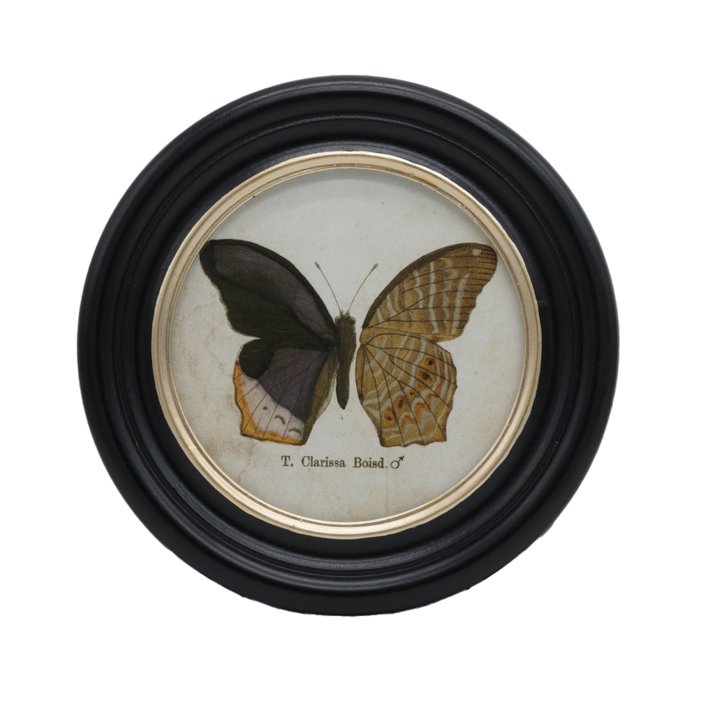 Cadre rond papillon Clarissa