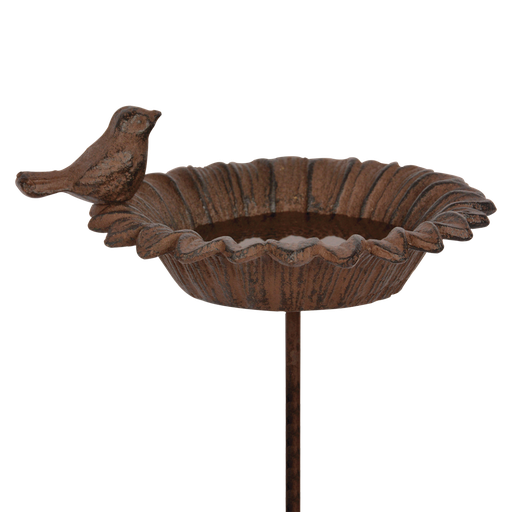 [ES000165] Bain d'oiseau sur Pic S