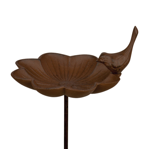 [ES000189] Bain d'oiseau sur Pic L