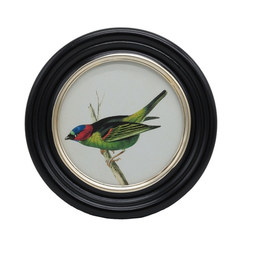 [CH002261] Cadre rond oiseau tête rouge